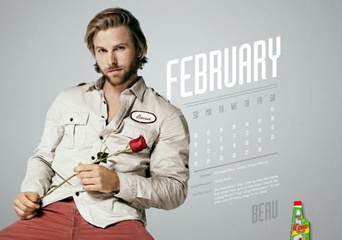 Liquid Plumr Calendar: Mr. February